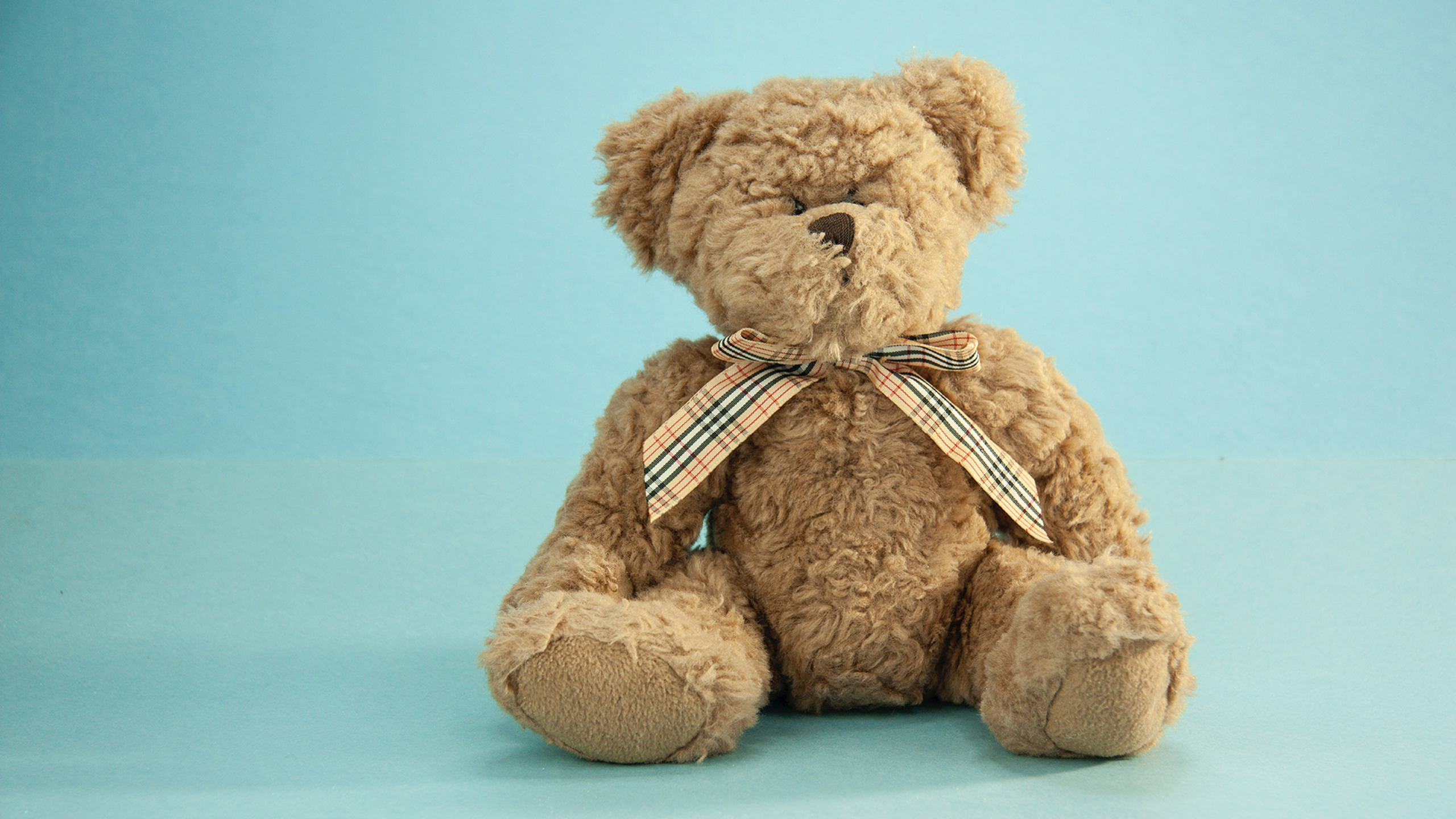 Lys Bamse Med Sløjfe Med Blå Baggrund